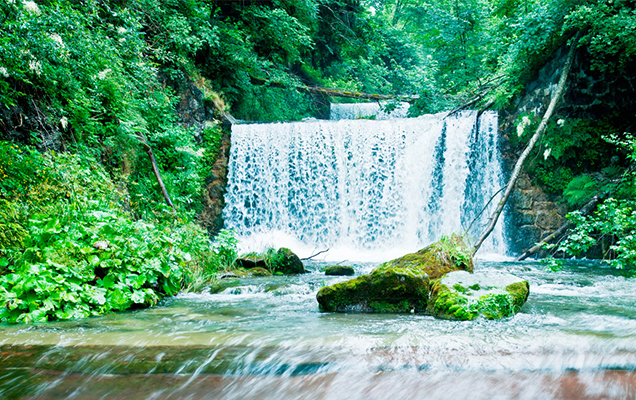 Waterfall in the woods 